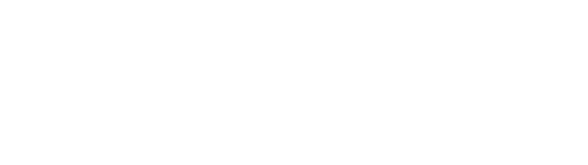 JPF International stylised sound wave logo with type
